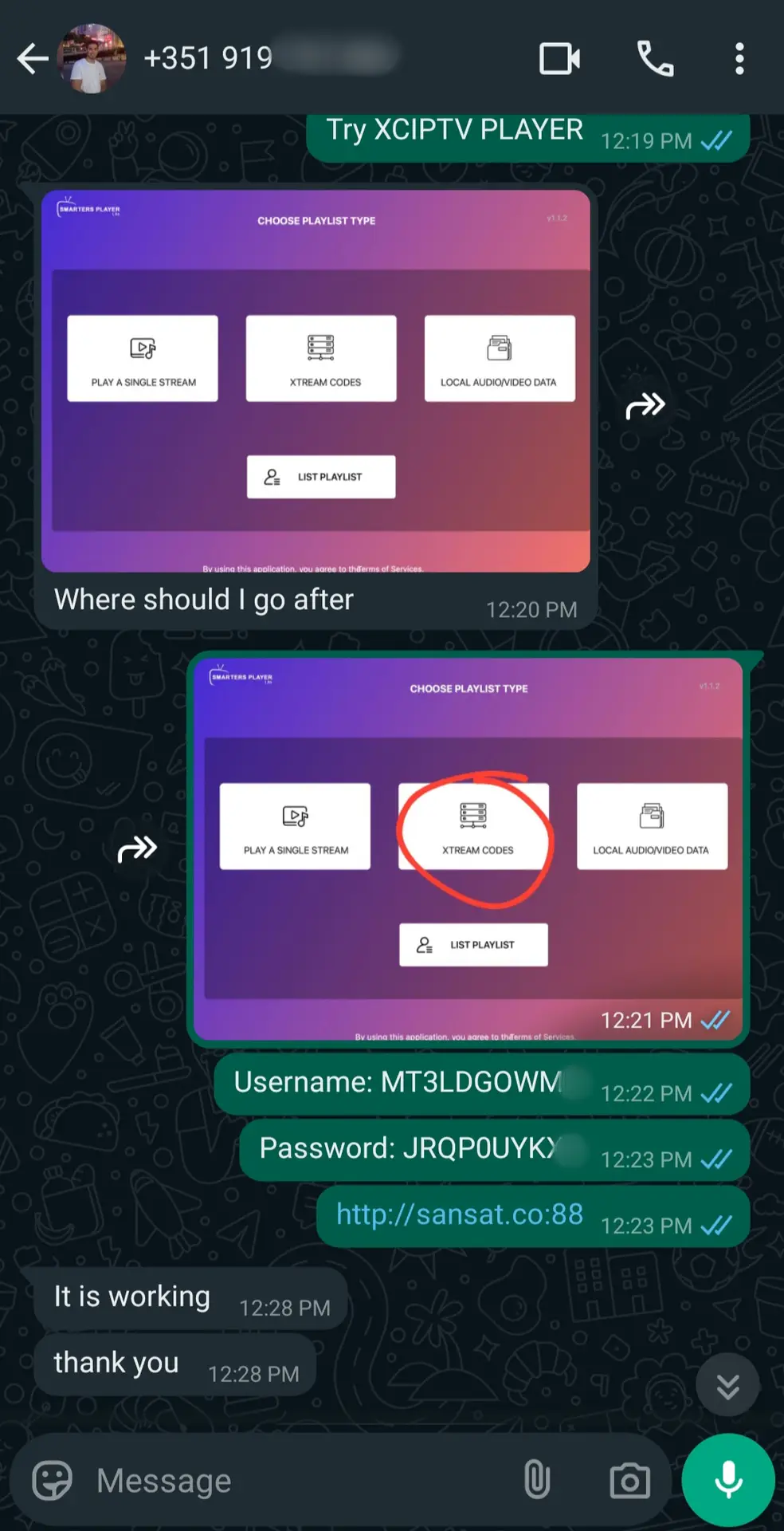 A WhatsApp chat shows instructions for setting up XCIPTV Player with IPTV Latino, highlighting the XTREAM CODES option on a playlist type screen. Login details and a URL are provided, followed by confirmation that it is working.